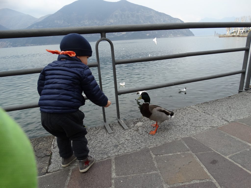 iseo